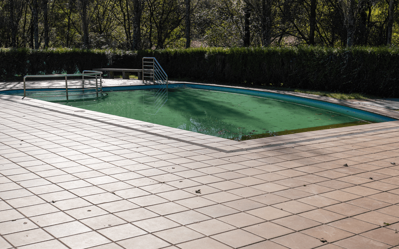 1-dirty-pool-in-early-autumn