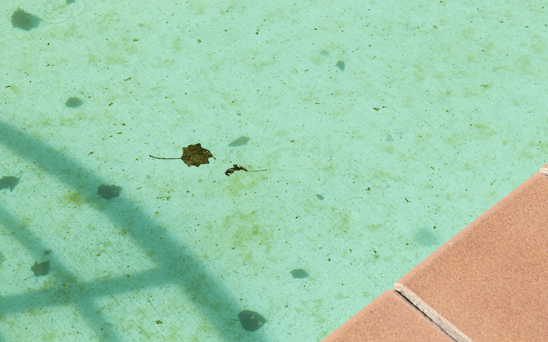 dirty-swimming-pool-background-green