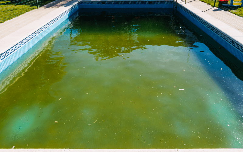 abandoned-swimming-pool-with-green-rotten-water Fort Worth TX