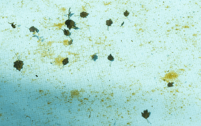 dirty-swimming-pool-background dirty-swimming-pool-background-green Fort Worth TX