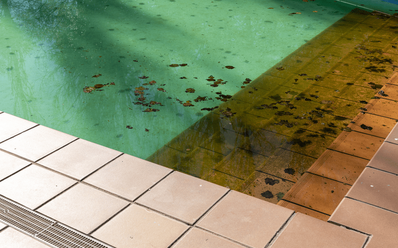 dirty-swimming-pool-background dirty-swimming-pool-background-green Fort Worth TX